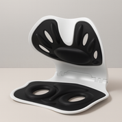Foldable Back Support Cushion